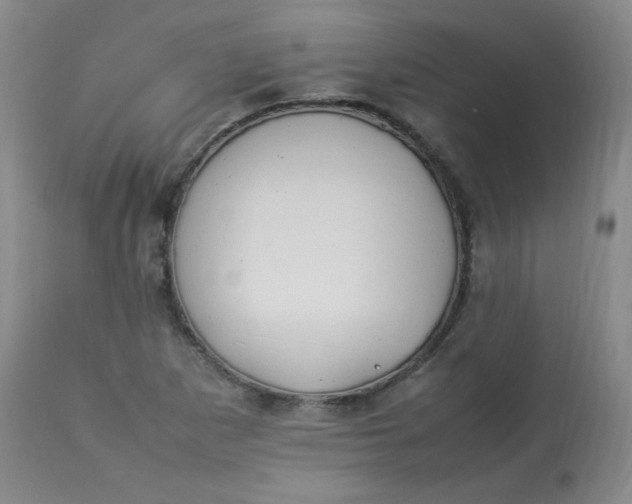 X0000112831265200909111349