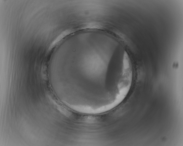 X0000112831266200909111349