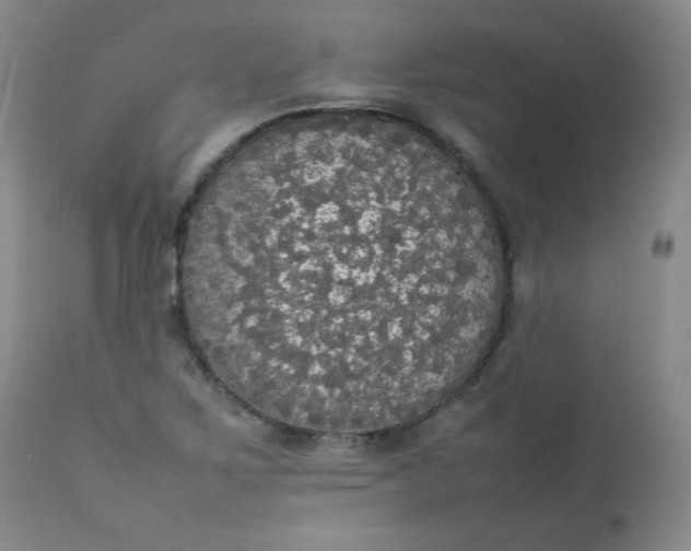 X0000112831267200909111349