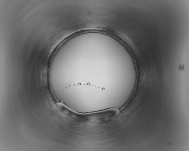 X0000112831268200909111349