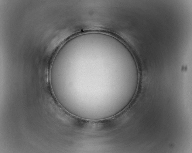 X0000112831269200909111349