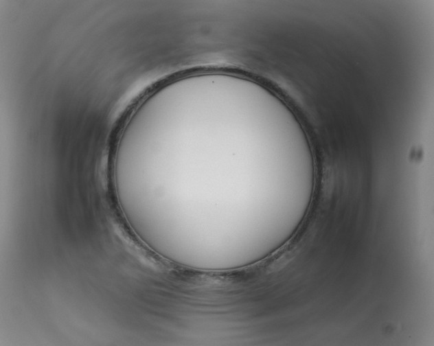 X0000112831270200909111349