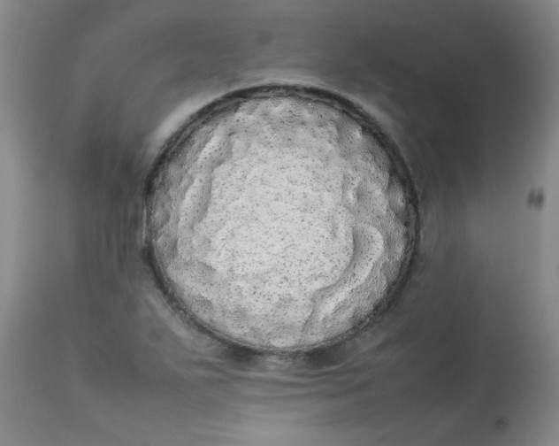 X0000112831271200909111349