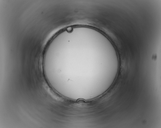 X0000112831272200909111349