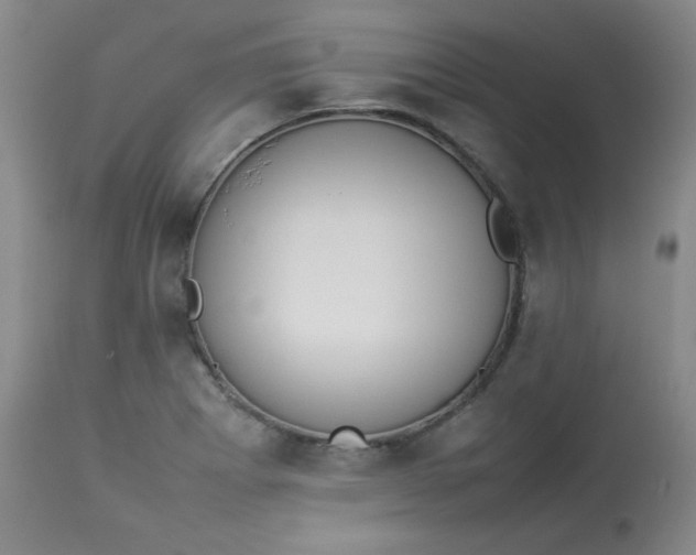 X0000112831273200909111349