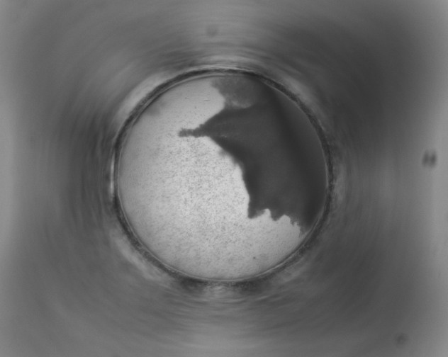 X0000112831275200909111349