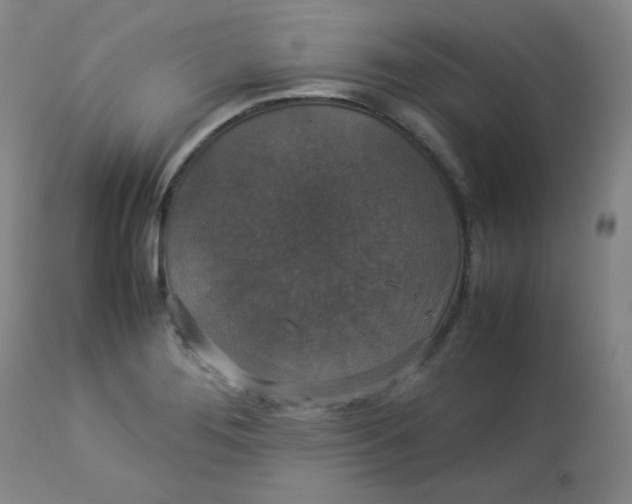 X0000112831276200909111349