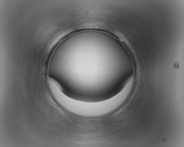 X0000112831277200909111349