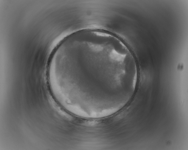 X0000112831278200909111349