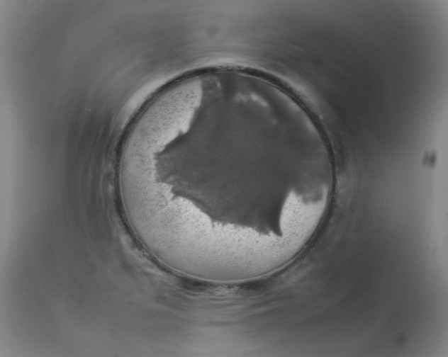 X0000112831279200909111349