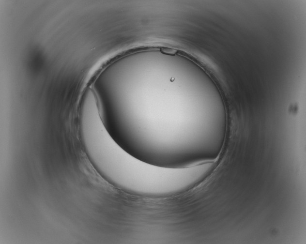 X0000112831280200909111349