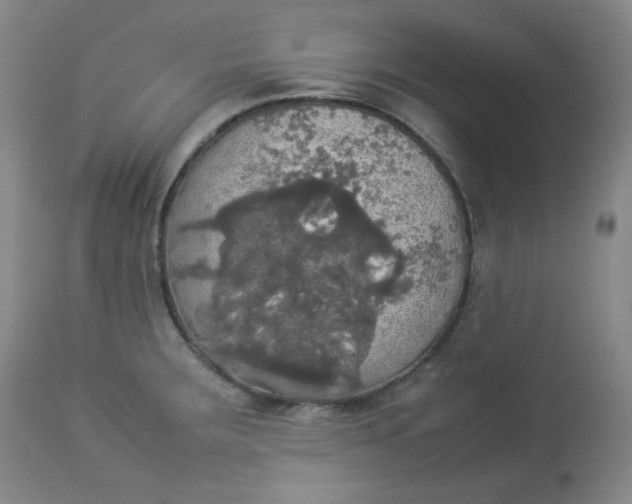 X0000112831283200909111349