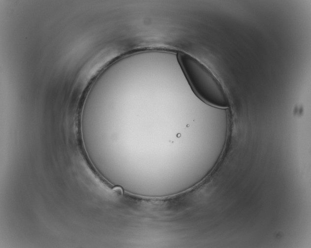 X0000112831285200909111349