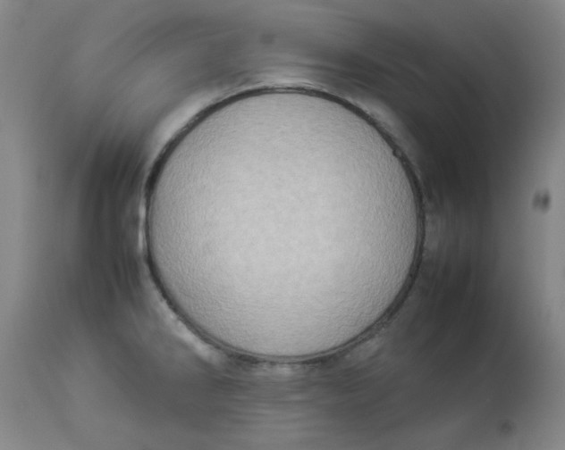 X0000112831286200909111348