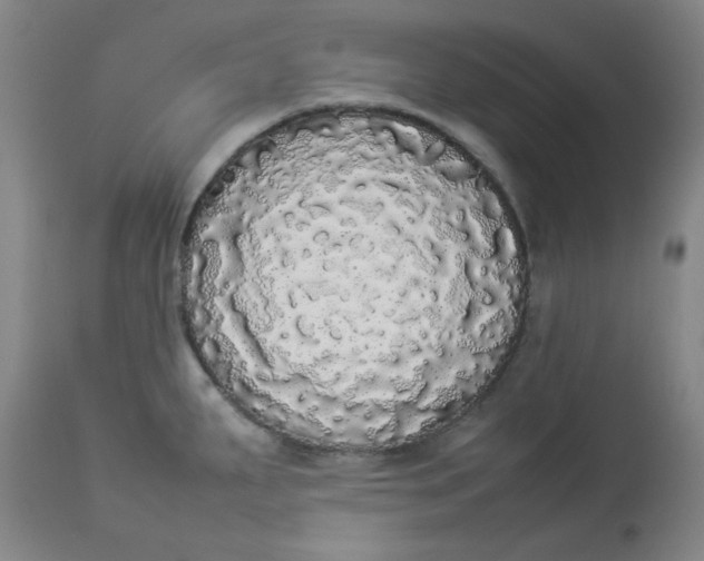 X0000112831287200909111348