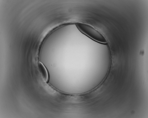 X0000112831288200909111348