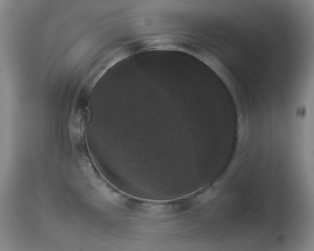 X0000112831289200909111348