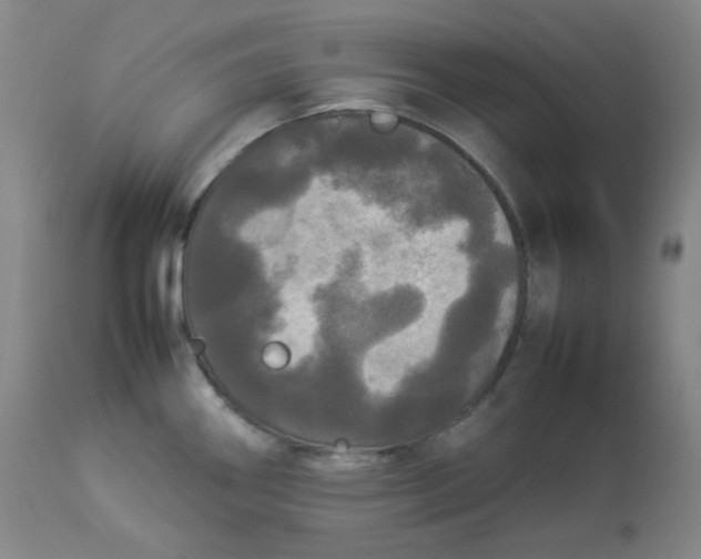 X0000112831290200909111348