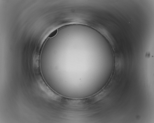 X0000112831292200909111348