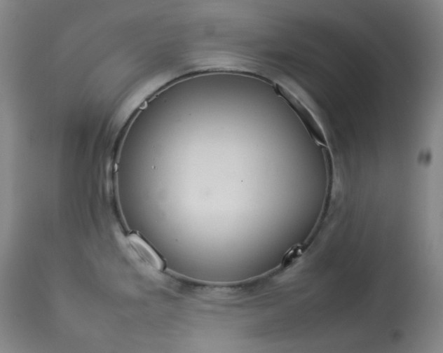 X0000112831293200909111348