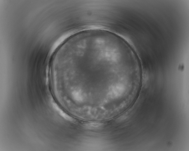 X0000112831294200909111348