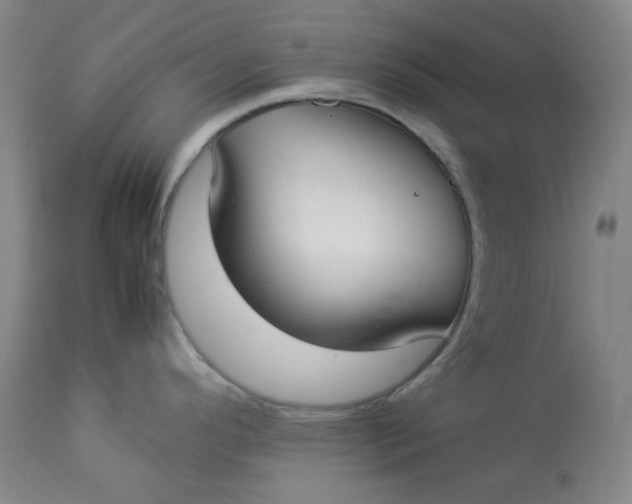 X0000112831296200909111348