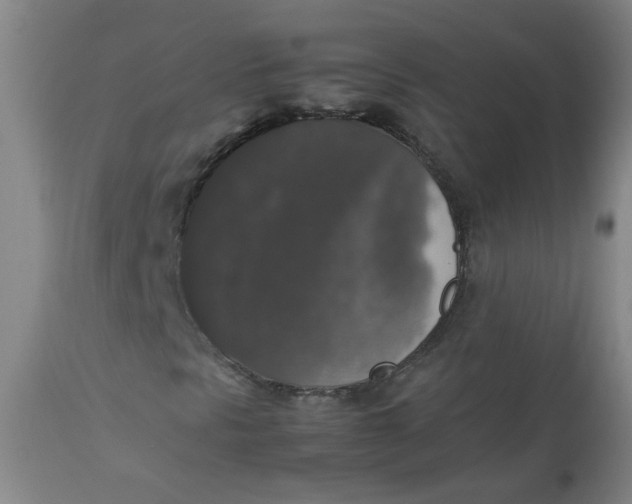 X0000112831297200909111347