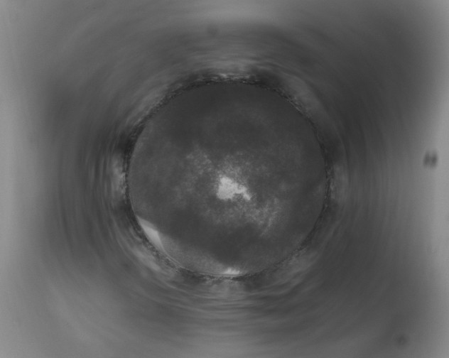 X0000112831298200909111347