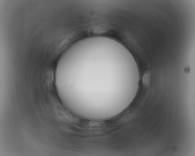 X0000112831299200909111347