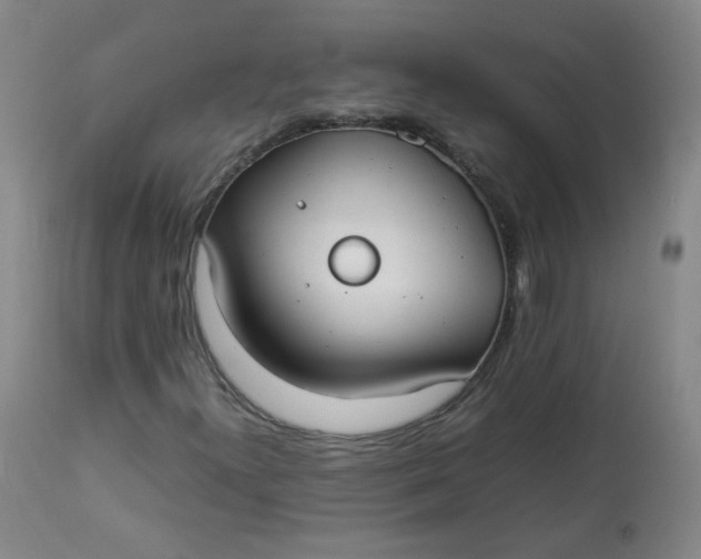 X0000112831300200909111347