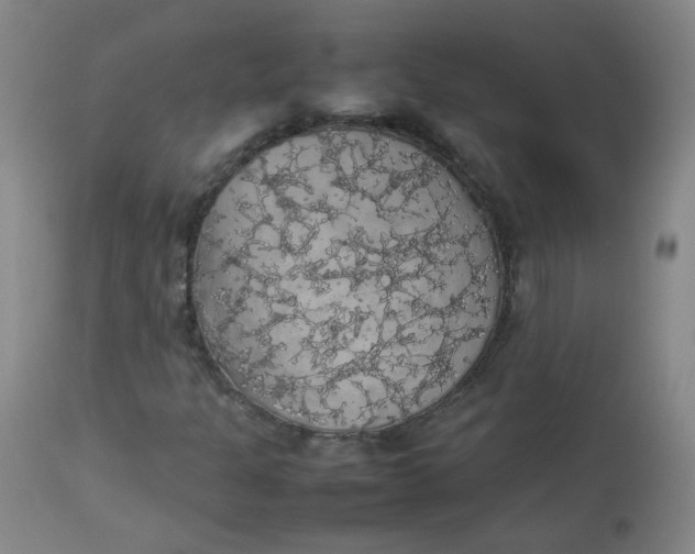 X0000112831301200909111347