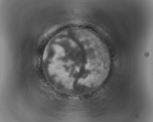 X0000112831302200909111347