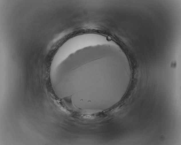 X0000112831303200909111347