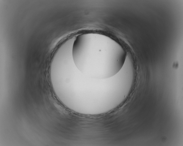 X0000112831304200909111347