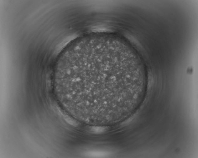 X0000112831305200909111347