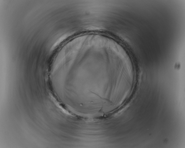 X0000112831306200909111347