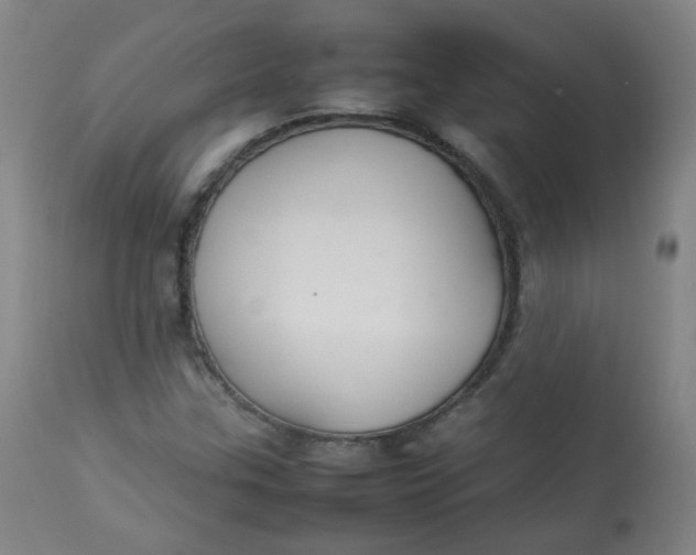 X0000112831307200909111347