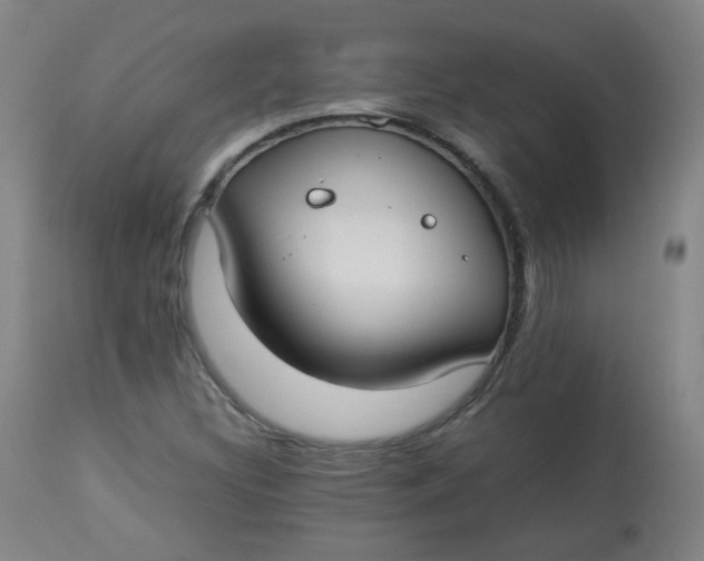 X0000112831308200909111347