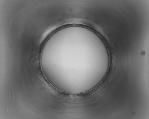 X0000112831312200909111347