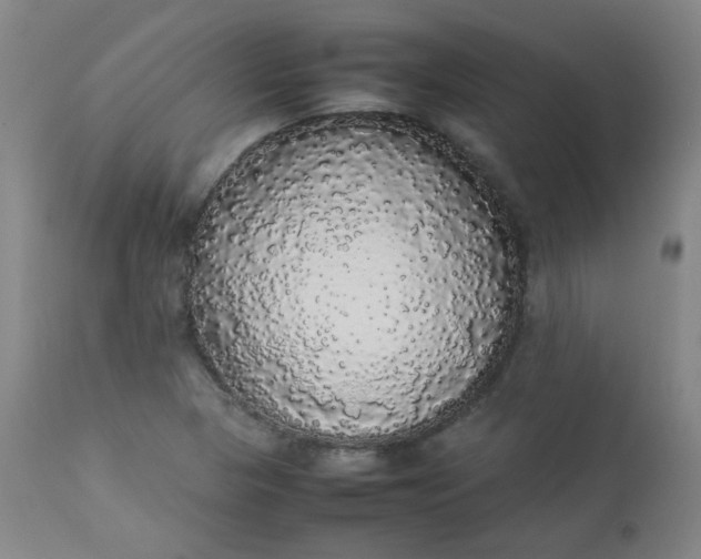 X0000112831313200909111347