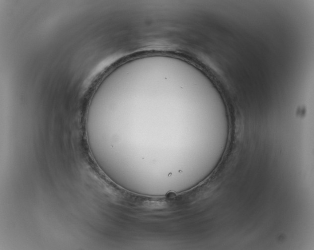 X0000112831315200909111348