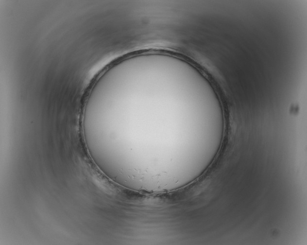 X0000112831316200909111348