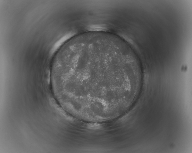 X0000112831317200909111348