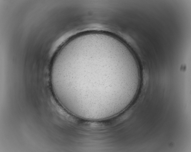 X0000112831318200909111348