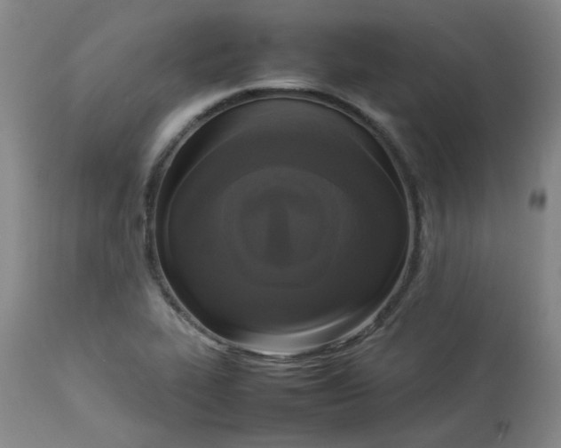 X0000112831319200909111348