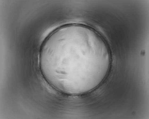 X0000112831320200909111348