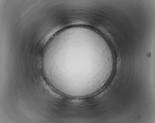 X0000112831321200909111348