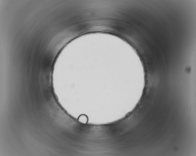 X0000112831322200909111348