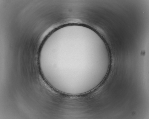 X0000112831326200909111348