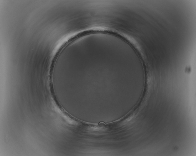 X0000112831327200909111348